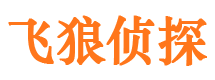 柳北飞狼私家侦探公司